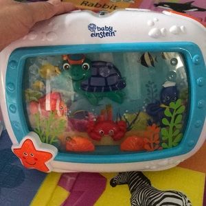 Baby Einstein Soother